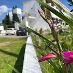 Olive Apartment With Mountain View&Private Parking