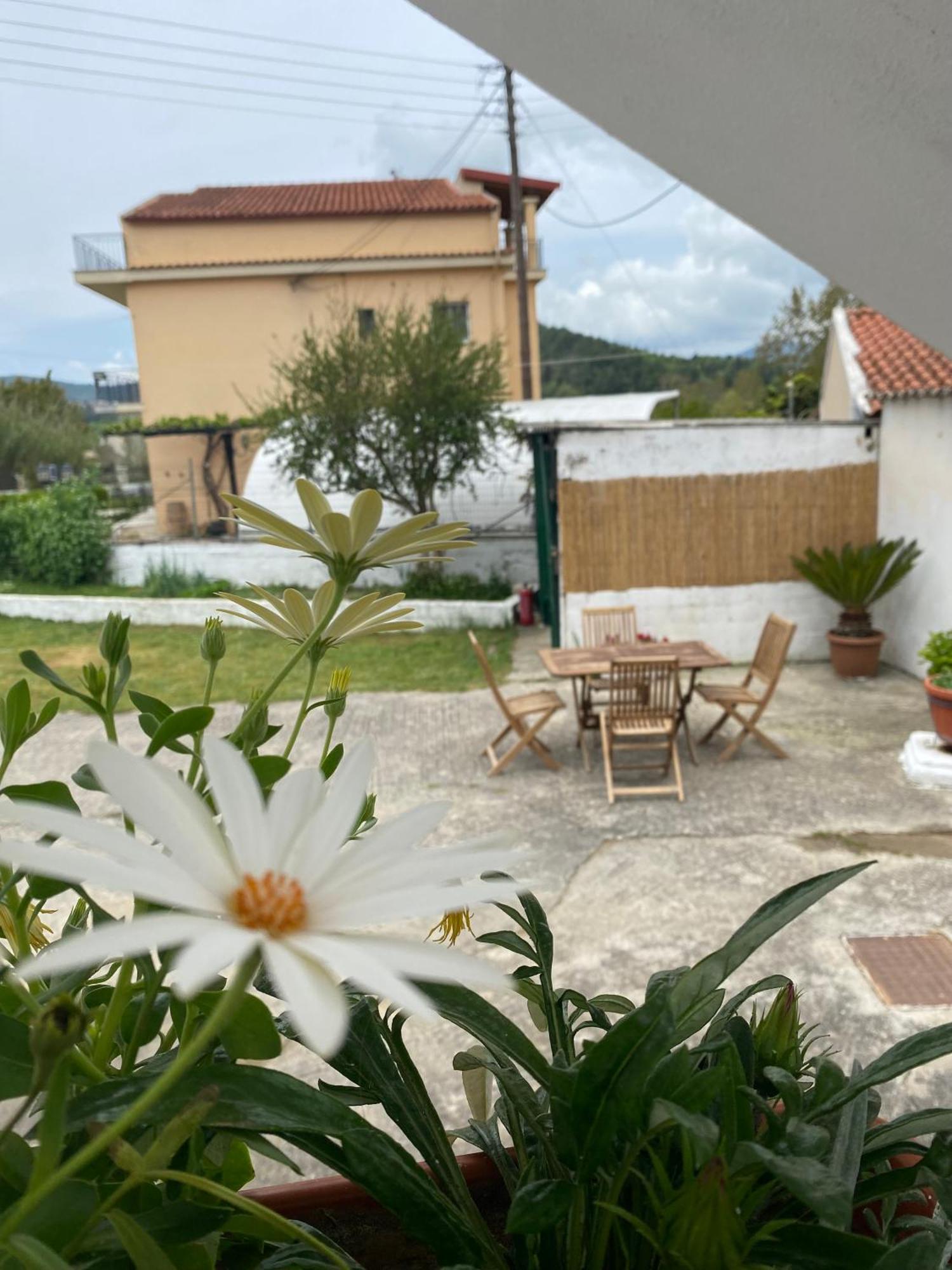 Appartement Olive With Mountain View&private Parking Vátos