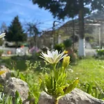 Olive Apartment With Mountain View&Private Parking