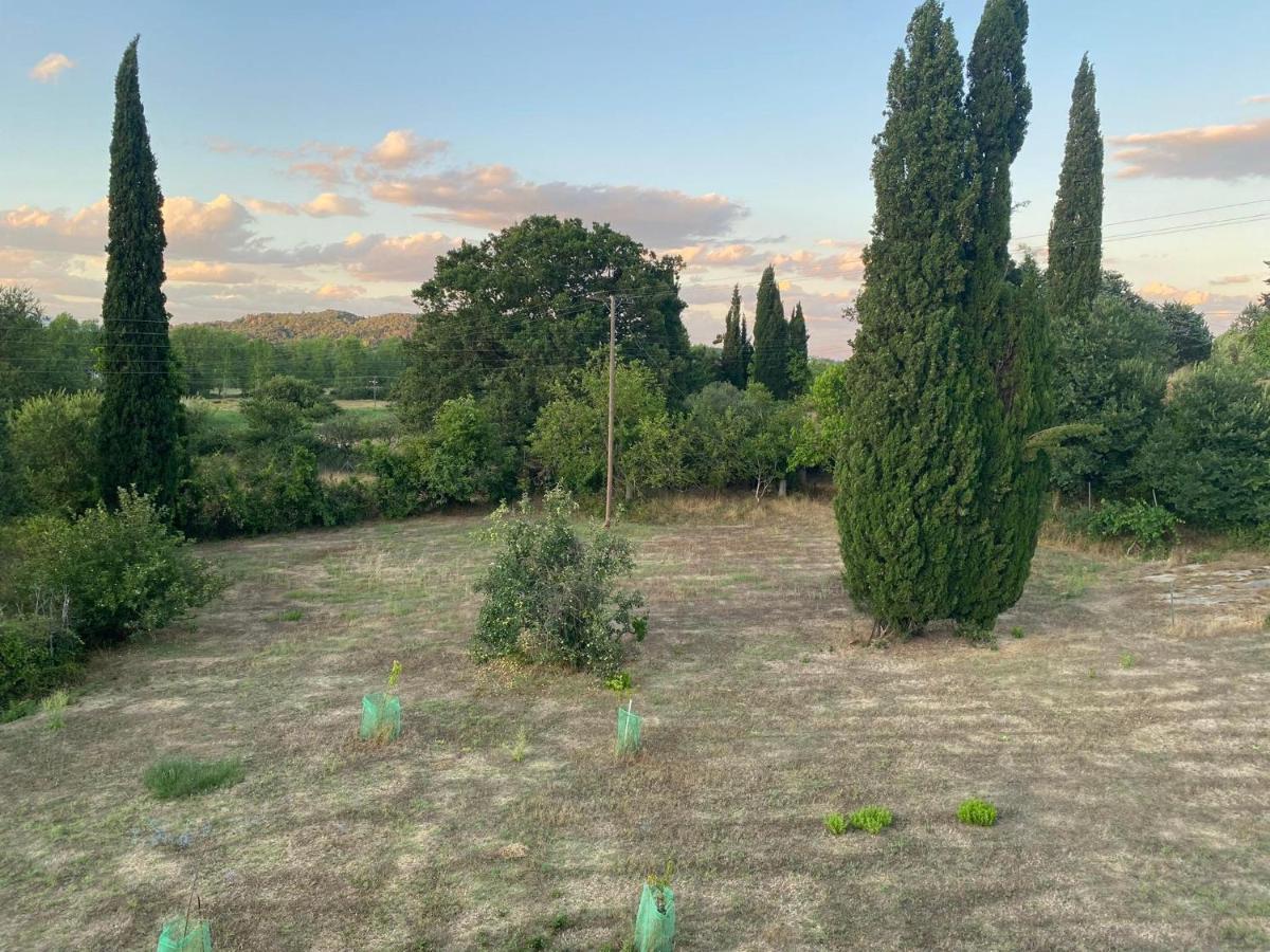 Olive With Mountain View&private Parking Apartment *